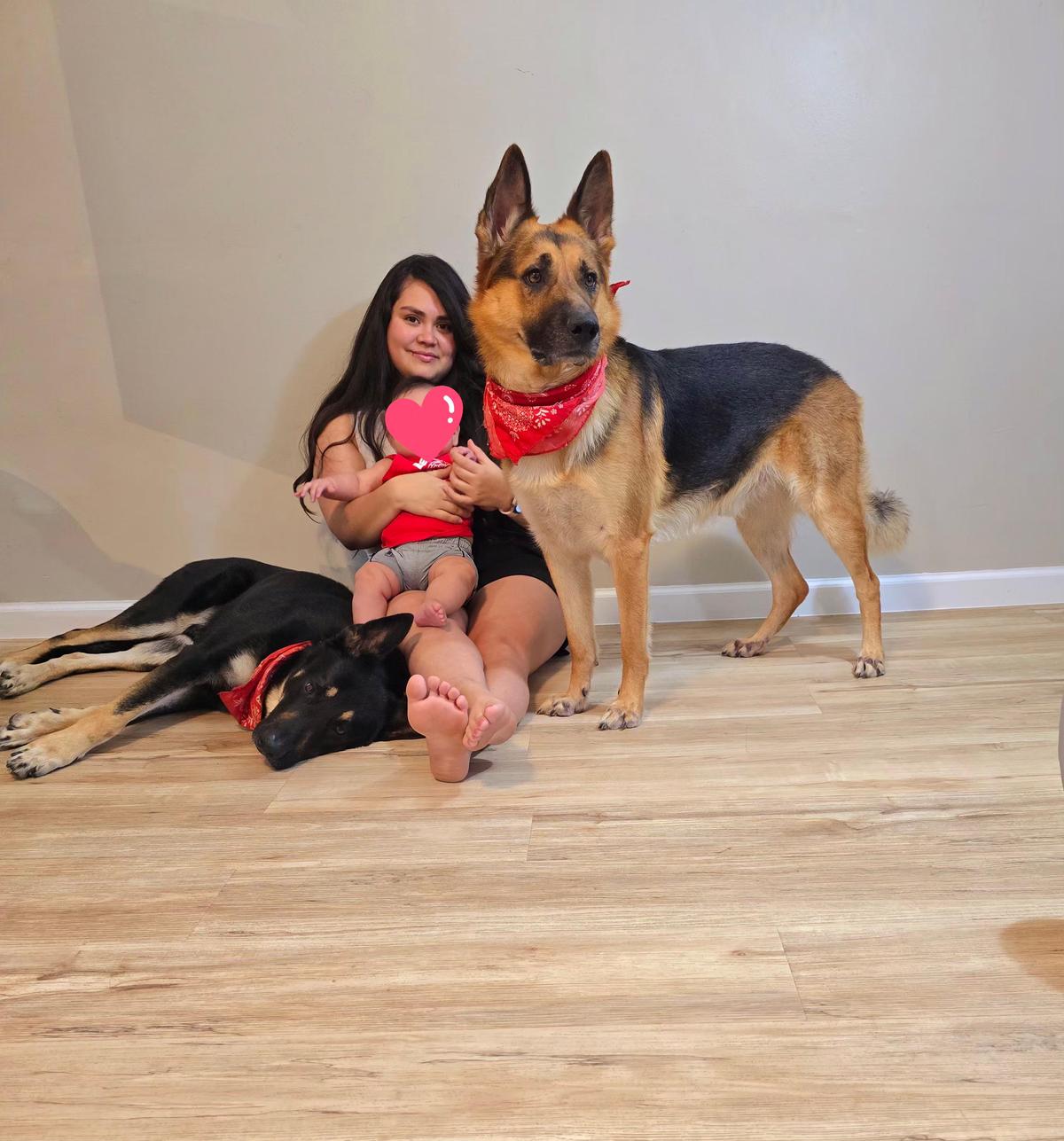 German Shepherd with baby