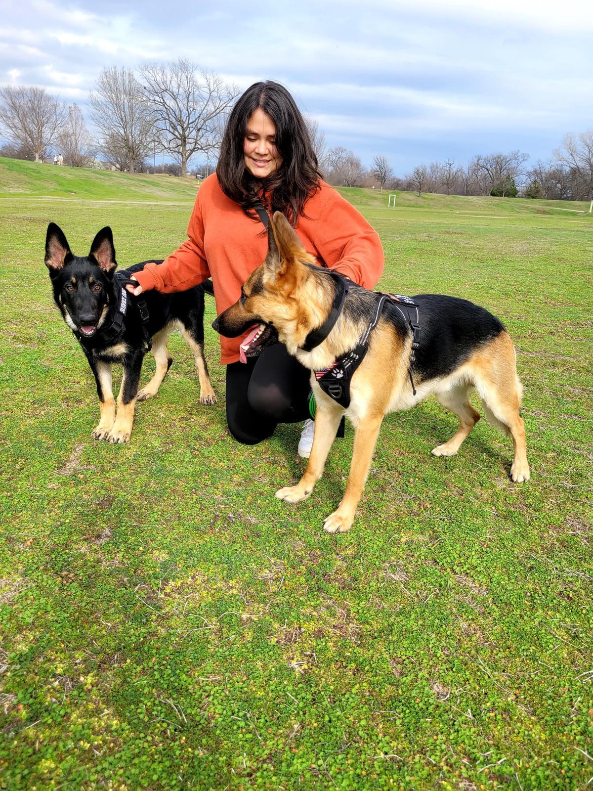 German Shepherd coat care