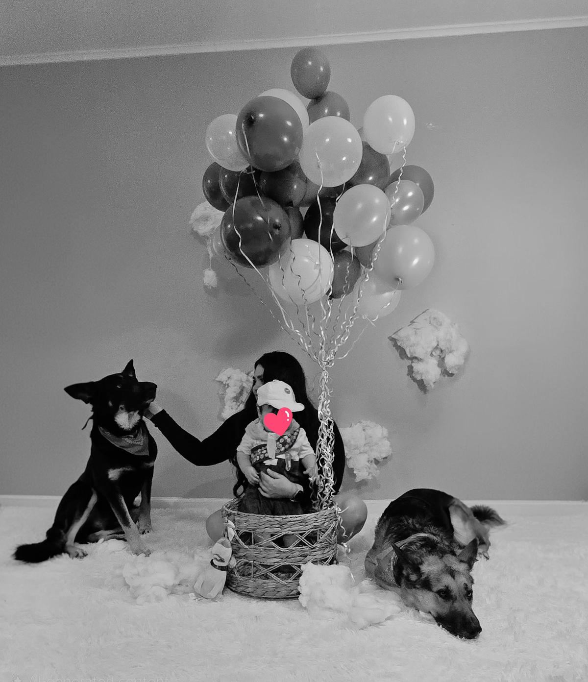 Growing up with German Shepherds