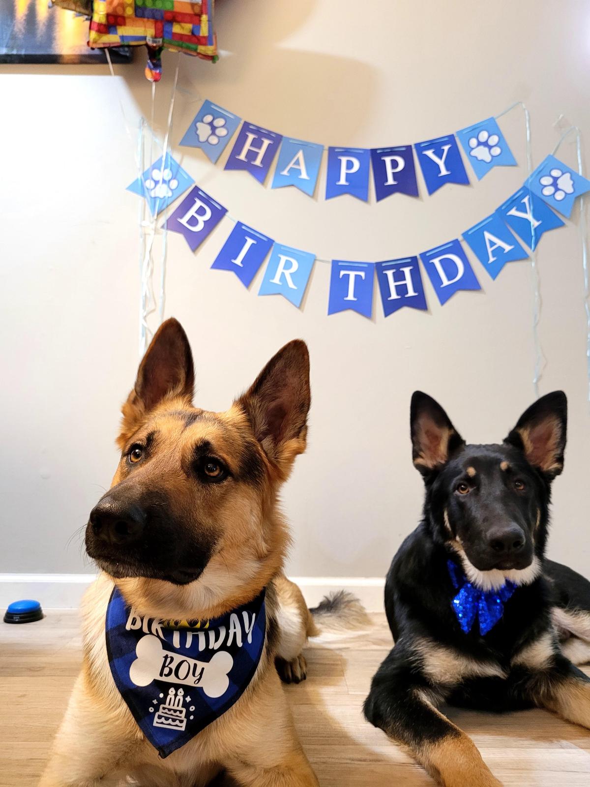 Cumpleaños de Júpiter