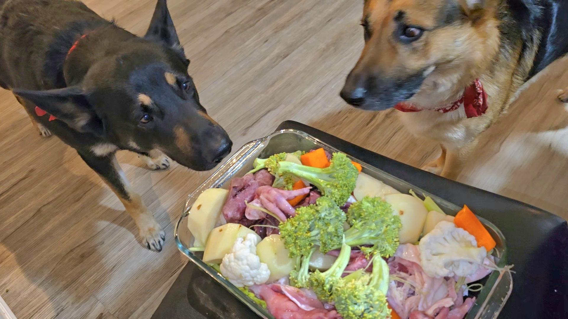 Homemade food for German Shepherds