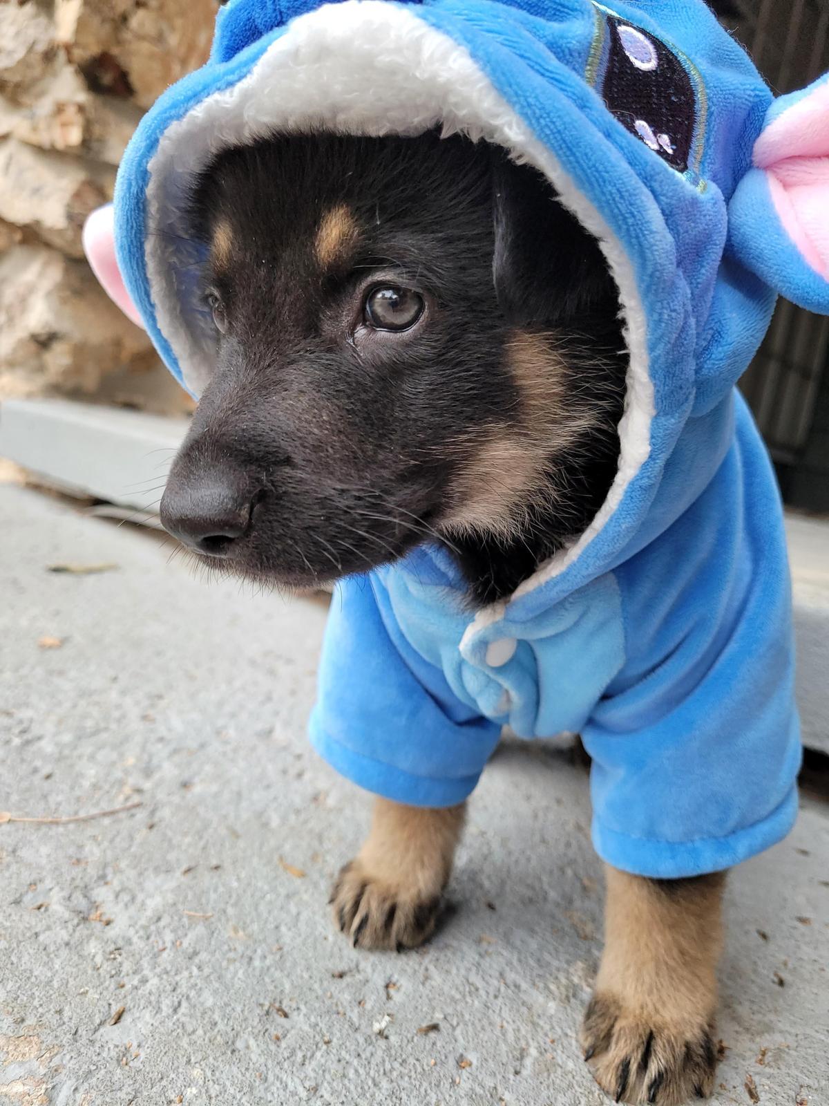 Plutón con Stitch